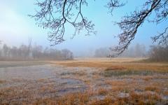 Moor
